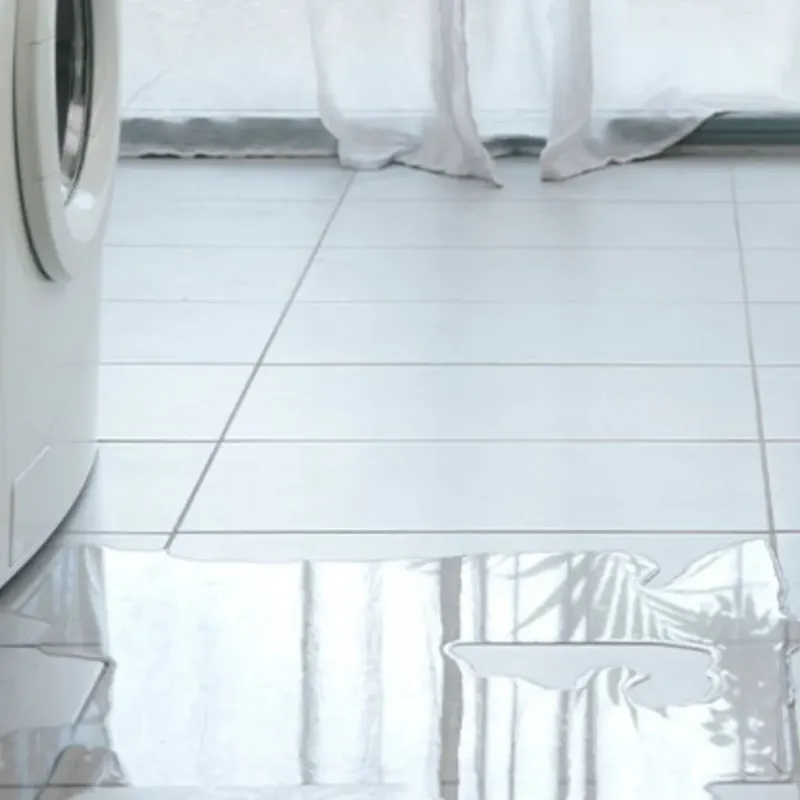 Appliance Leak Cleanup in Sleepy Hollow, WY