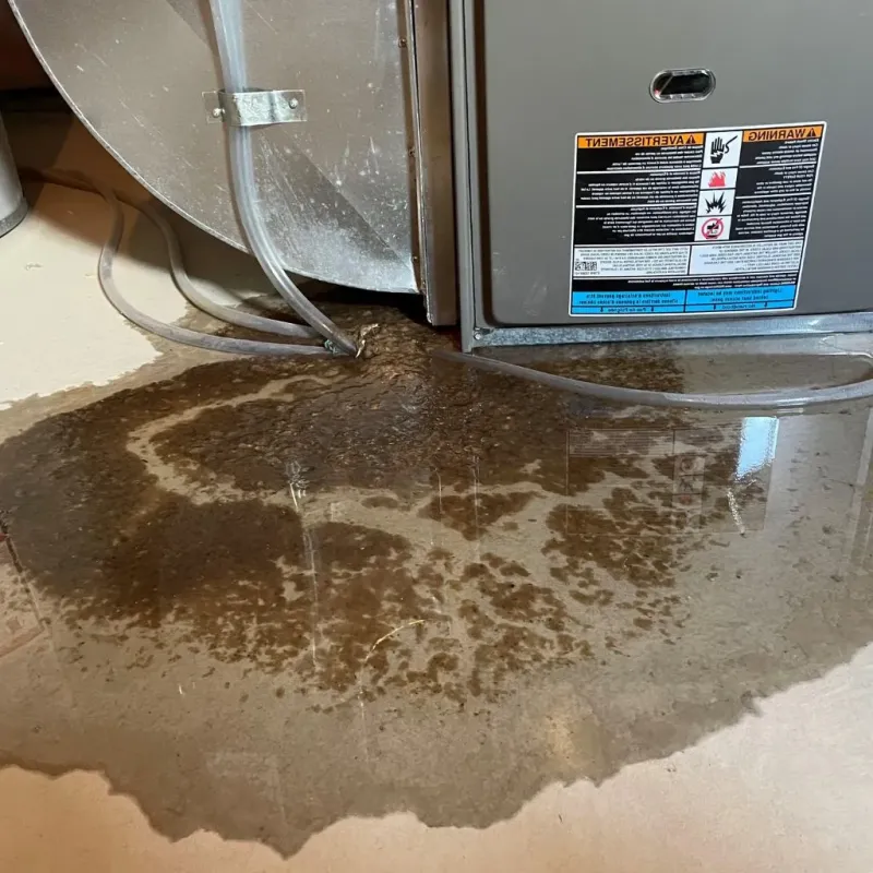 Pipe Burst and Leak Restoration in Sleepy Hollow, WY