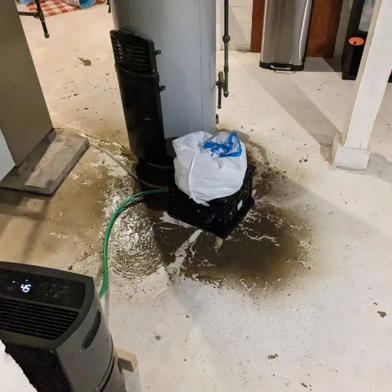 Sewage Backup Cleanup Service in Sleepy Hollow, WY
